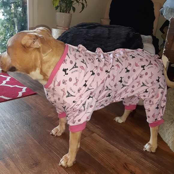 Petrageous Other - Puppy PJ's I Love Paris Large
